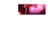 XXXXFLLXX's profile image