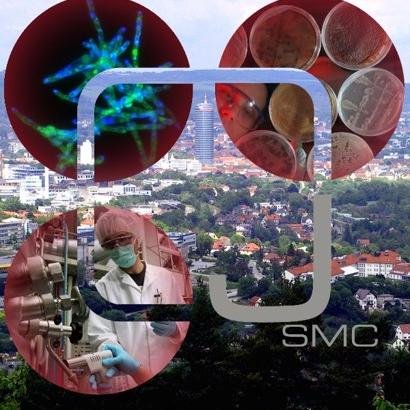 JSMC Profile