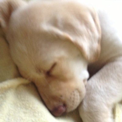 0_lars's profile picture. 