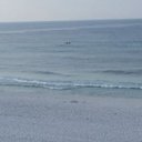 Kayla Cotton - @KCotton81 - Twitter