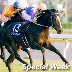 競馬好き。 好きな馬はスペシャルウィーク。