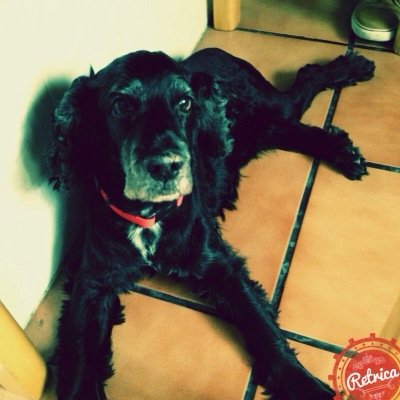 rafaballester93's profile picture. Siempre estaras con migoo cokiitooo tequierooo mi pequeñin ❤️❤️❤️