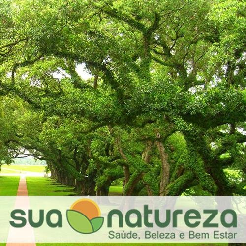 A Sua Natureza é uma empresa on-line comprometida com sua saúde e bem estar que oferece produtos naturais, funcionais e suplementos alimentares.