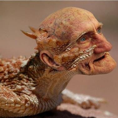 OtakKadal's profile picture. 