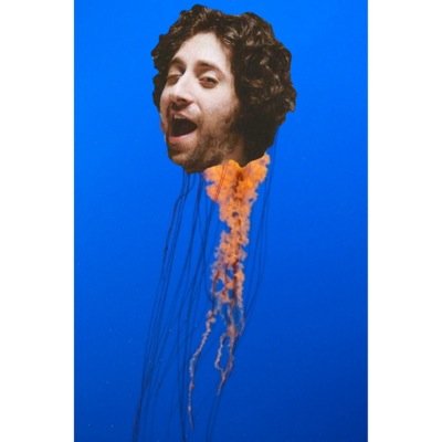im joe the jellyfish and jellyfishing is my game @penguinurie