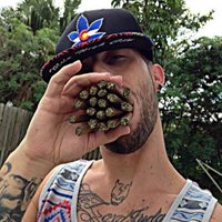 Blunt Lovers (@bluntlovers) 's Twitter Profile