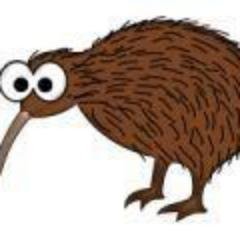 Flying Kiwi Heritage Services for Curatorial Assistance, Research, Archaeological Archiving, Desk Based Projects based in Worcestershire