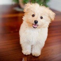 ambro_saleen's profile picture. 