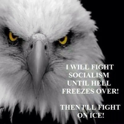 We will fight until america is back to what it used to be.