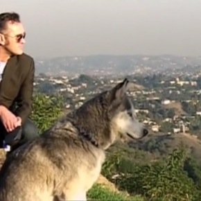 piksidejo's profile picture. 