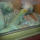 Louise Rush - @louiseritarush - Twitter