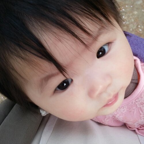 SW engineer / 550D / Galaxy Note2 / 주로 눈팅