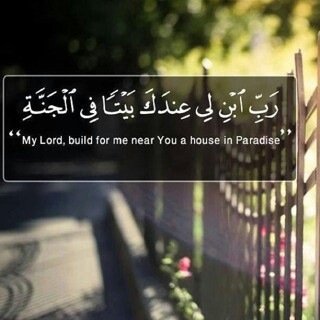 sadaqah_mizna's profile picture. 