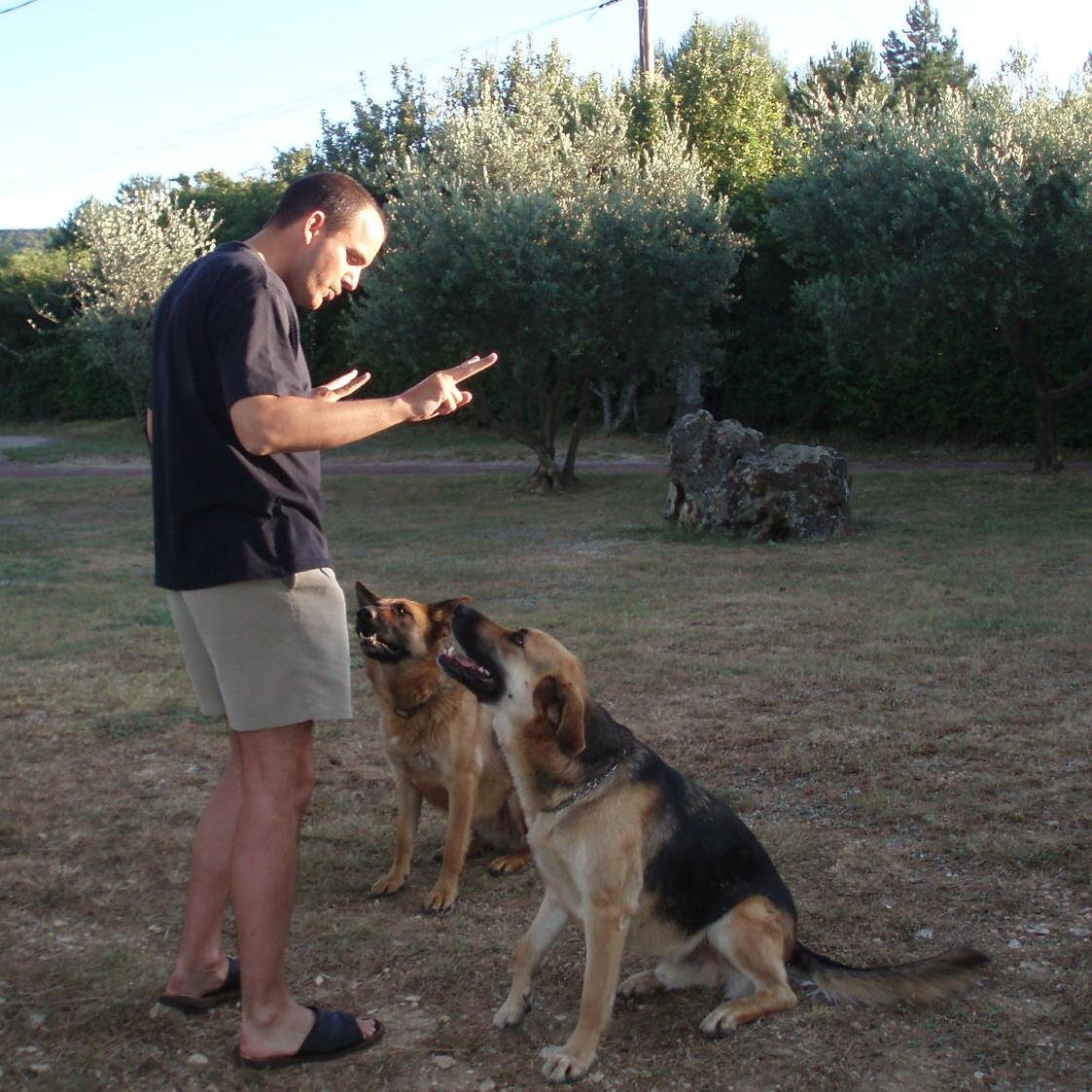 CPowlson's profile picture. 