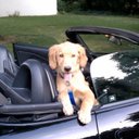 Tyler - @jon_kiefer - Twitter