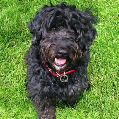 kristamccune's profile picture. 