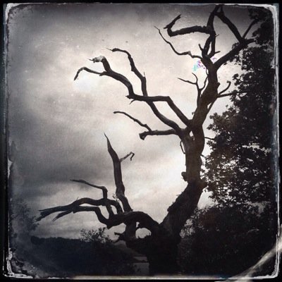 JennPellegrini's profile picture. Freelance Photographer 
Instagram @jenpeg