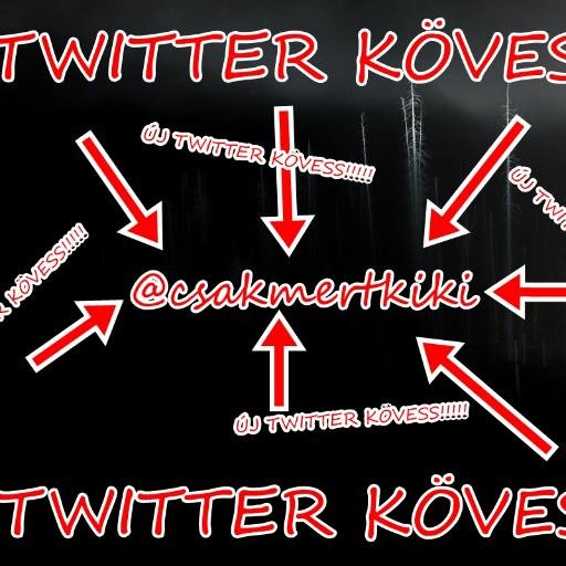 új twitter ----- @csakmertkiki kővess