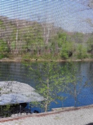 SCastle3012's profile picture. 