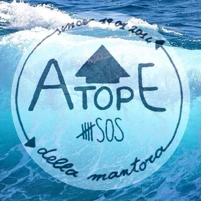 i 5sos non sono una rock band, sono degli atopi della mantora.  ||  #5secondsofcuoricini