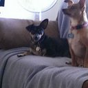 Olga Buckley - @annieoakley30 - Twitter