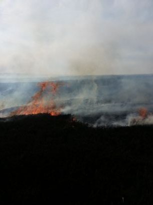 stevengoulding1's profile picture. 