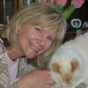 Nancy Rapp - @MrsRappReads - Twitter
