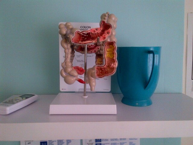 Colonhelp's profile picture. Colon hydrotherapist\colonic irrigation practitioner, GPACT  registered.