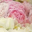 Sweet Caroline Gill - @tweetsweetc - Twitter