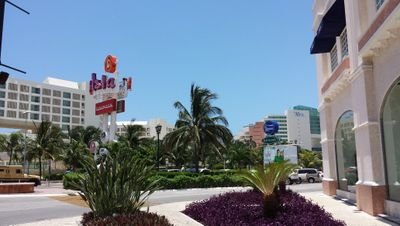 ReportaloCancun's profile picture. 