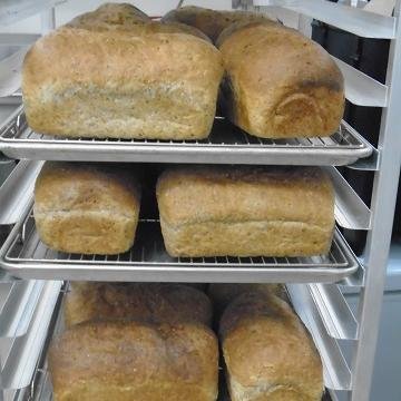 LArcheTovaCafe's profile picture. 