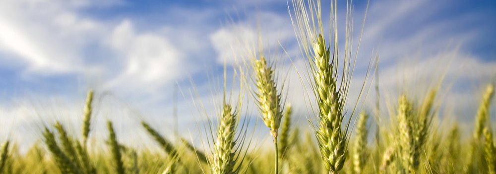 teaminthenorth's profile picture. Missionorganisation from the north of Sweden. Missions to #Asia, #MiddleEast, #Russia, #Sweden. Matthew 9:35-38. Make Him known where He isn't yet known.