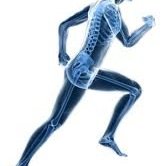 NDSportsRehab's profile picture. Bristol based BSc(hons) Sports Therapist & Rehabilitator. BASRaT Affiliated. Injury assessment, rehabilitation, massage, injury prevention & gait analysis