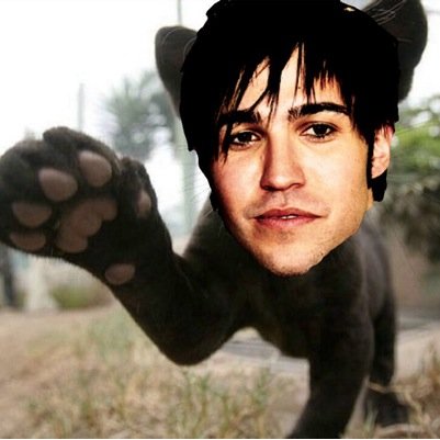 im king of the emo kitties:33 @penguinurie