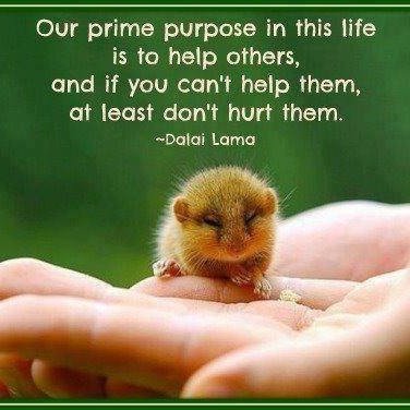 ModernMarilyn13's profile picture. 