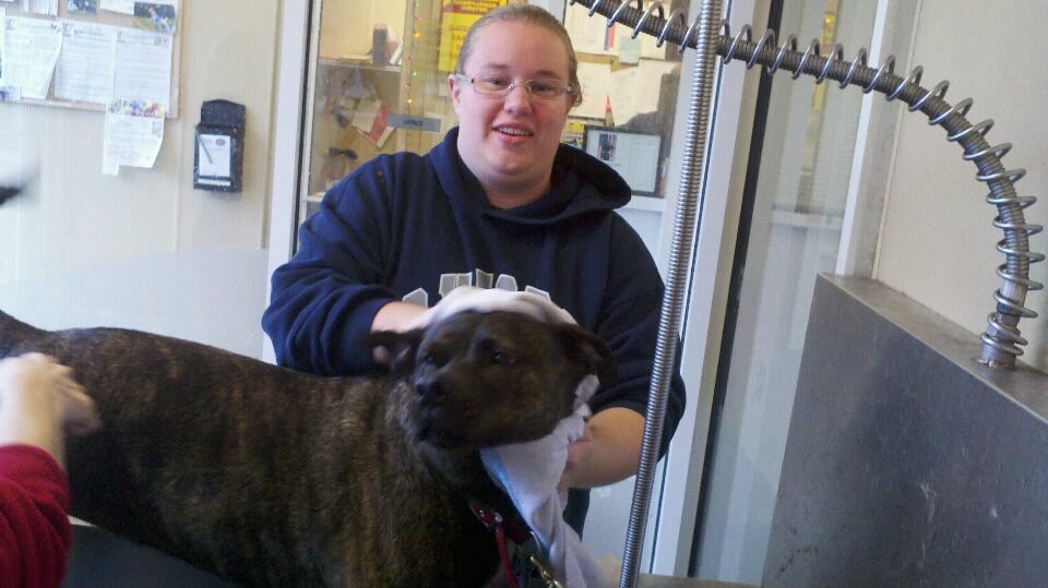 EnigmaSMASH4's profile picture. Chemical Engineer