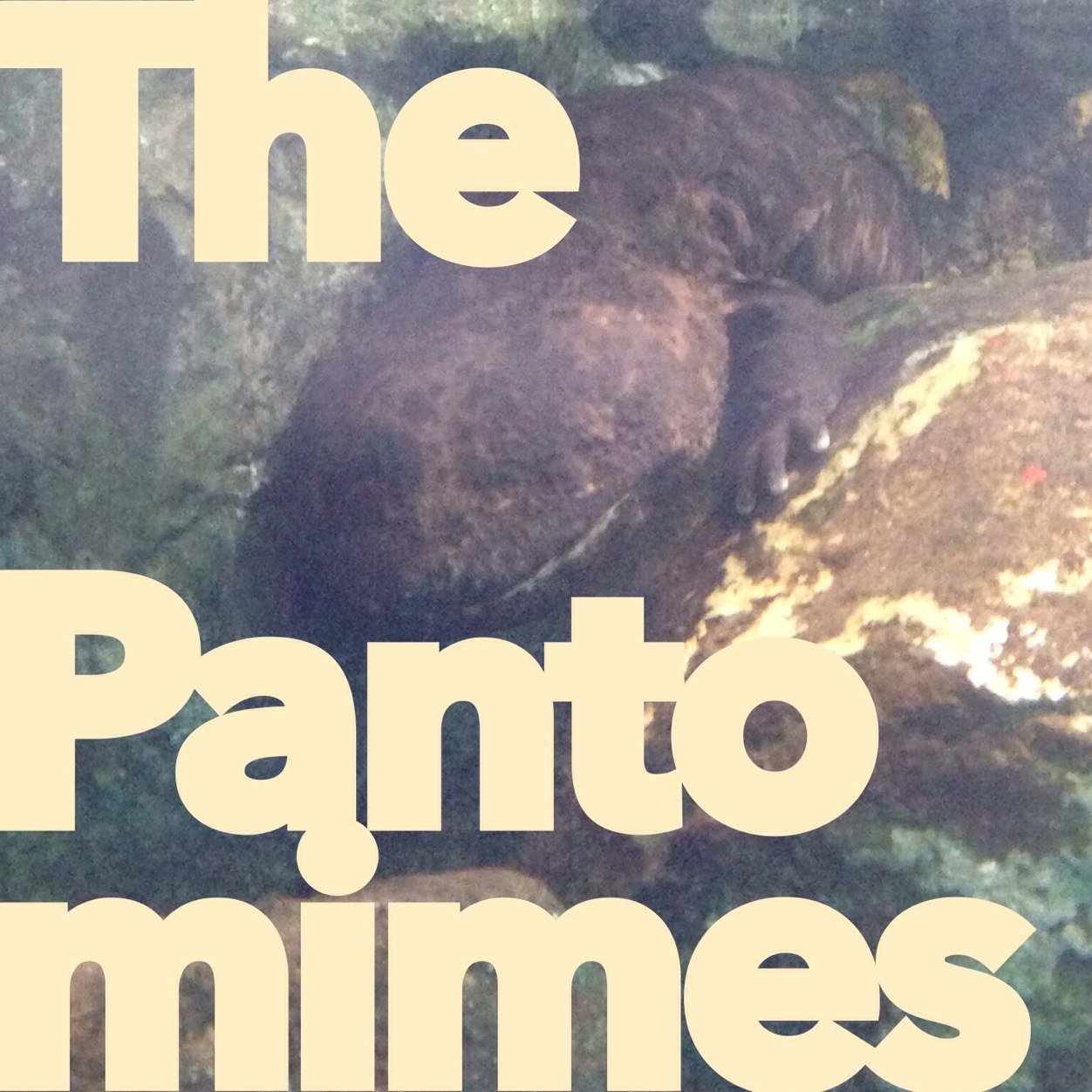 the_pantomimes's profile picture. オルタナっぽいバンドです。バンド名はPixiesとthe pillowsの物真似です。