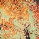 keyla blanco  - @yolokeyla - Twitter