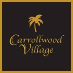 Carrollwood Village