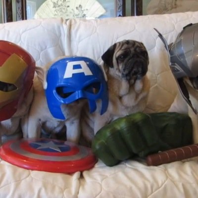 noooppee's profile picture. ✯Free follow from @mweepcharel because youre one of the most awesome people of the universe✯