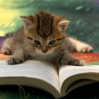 HUSEnglish's profile picture. Reminders, reading and revision: all things English at HUS. And probably some cats. There will be cats.