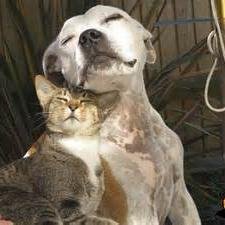 1truePENNYDIVA5's profile picture. I BELIEVE IN GOD AND HELPING OTHERS