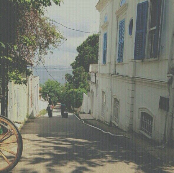 haneenal_harbi's profile picture. انفض المفضله وعطني تم انفض لك