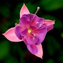 Frederick Bartlett - @fbartlett50 - Twitter