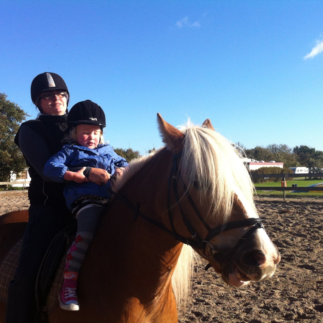 NoorderSandt's profile picture. Familiecamping op 600m van het Noordzeestrand, midden tussen bollenvelden. Binnenzwembad, minimanege, gezamenlijke keuken, infraroodsauna, bibliotheek/lounge