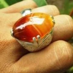 4000+ Gambar Cincin Rumput HD Paling Baru 4000+ Gambar Cincin Rumput HD Paling Baru