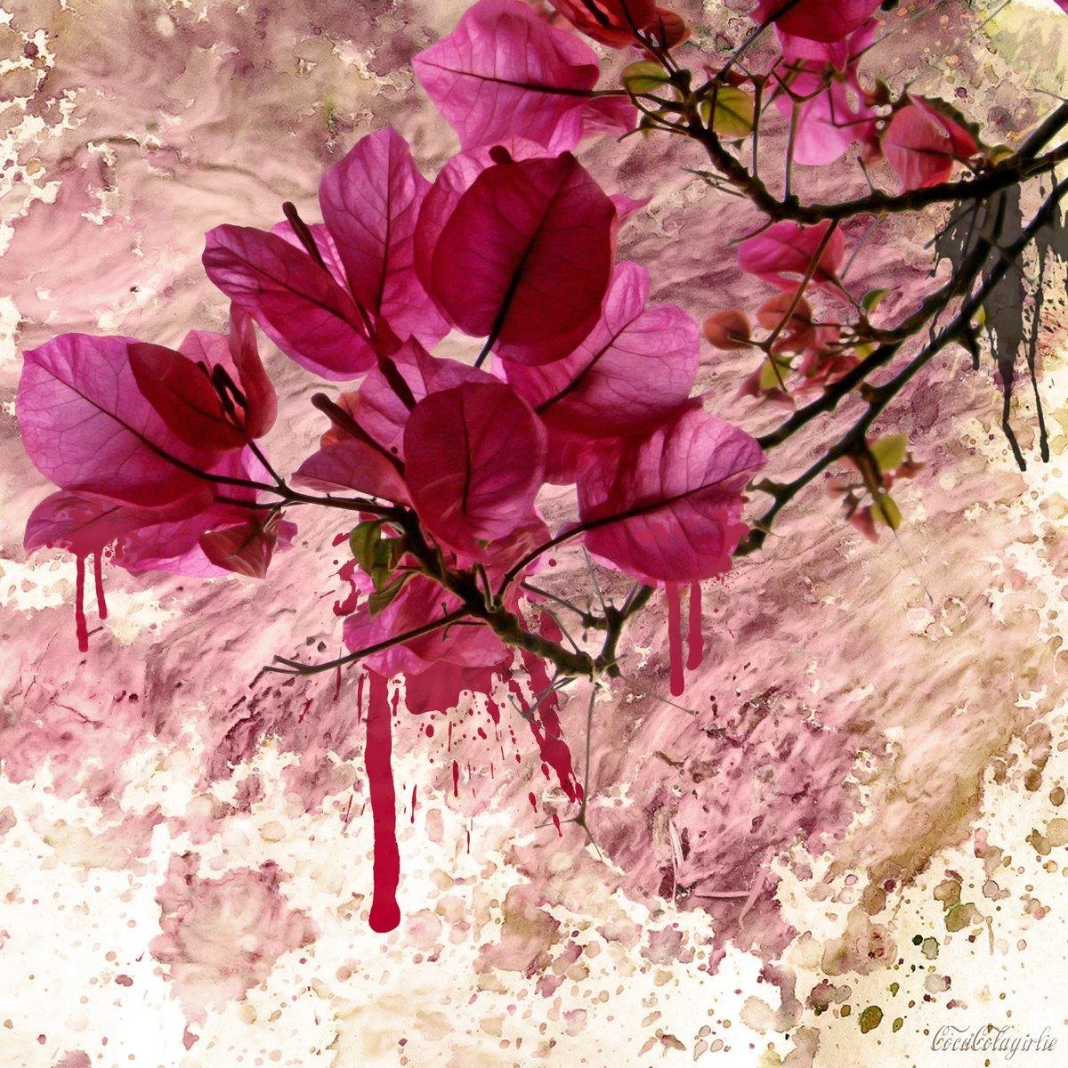 Icyrose66's profile picture. I'm intimidated by the fear of being average.-Taylor Swift