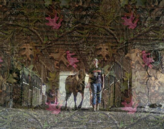 pa_hick's profile picture. | Avi is me. | Account Started 6-26-13 | #TeamFord | #TeamYamaha | http://t.co/e9Kic8AXDx |