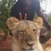 Chris Ndhlovu (@chris_ndhlovu) Twitter profile photo Chris Ndhlovu (@chris_ndhlovu) Twitter profile photo
