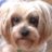 cindyknebel's profile image